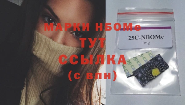 прущие грибы Переславль-Залесский